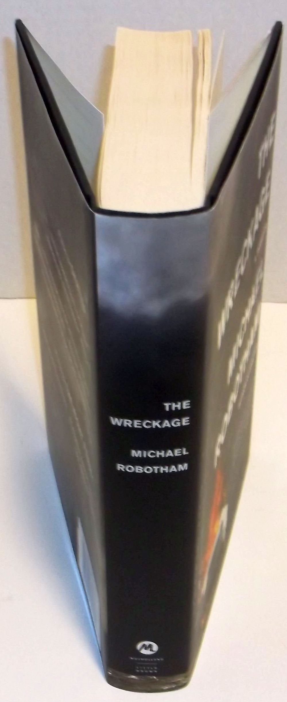The Wreckage: A Thriller
