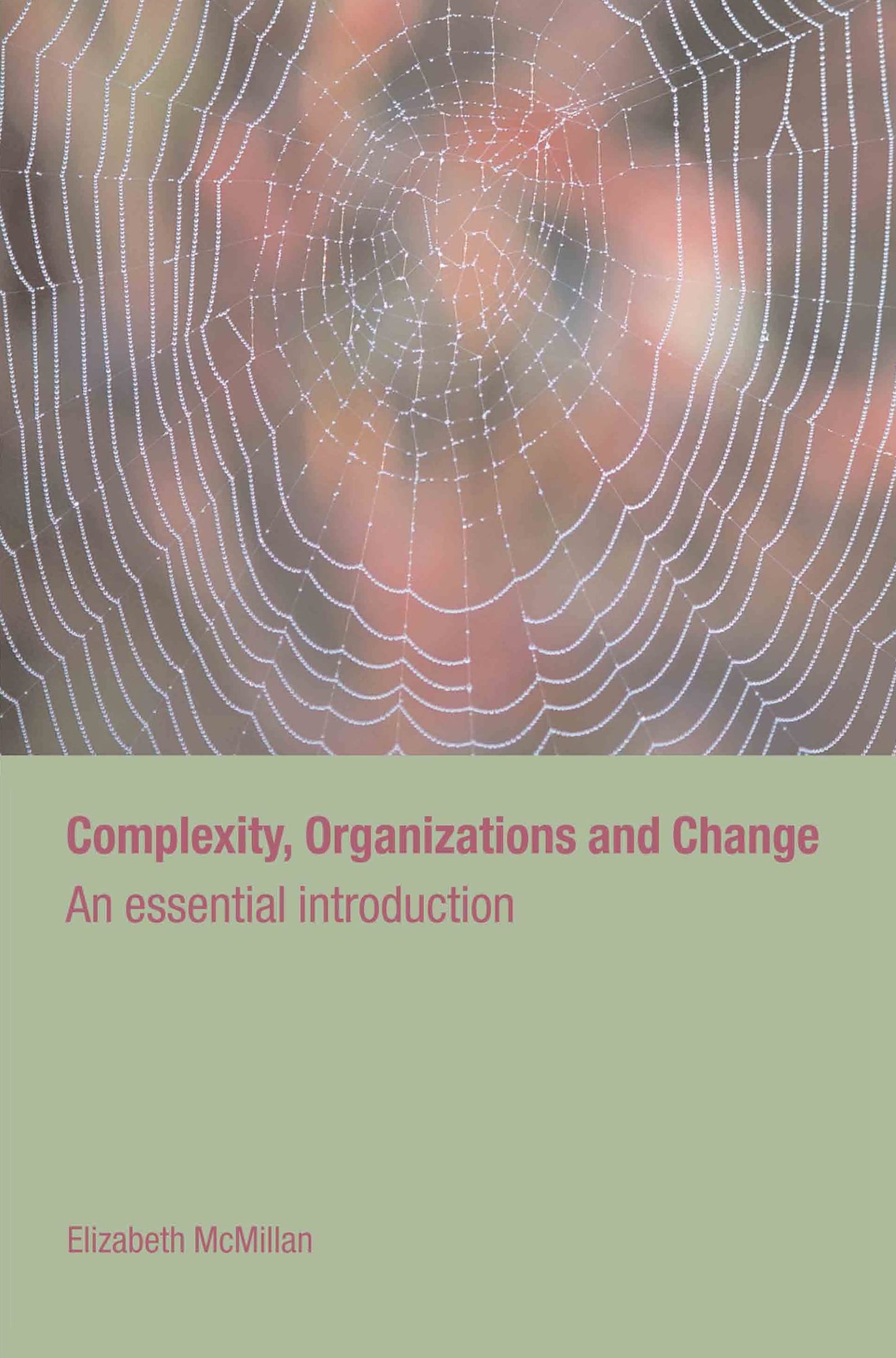 Complexity, Organizations and Change: An Essential Introduction (Routledge Studies in Complexity and Management)
