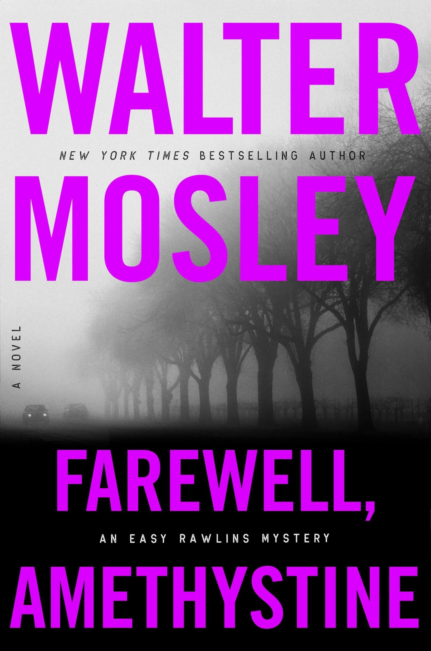 Farewell, Amethystine by Walter Mosley