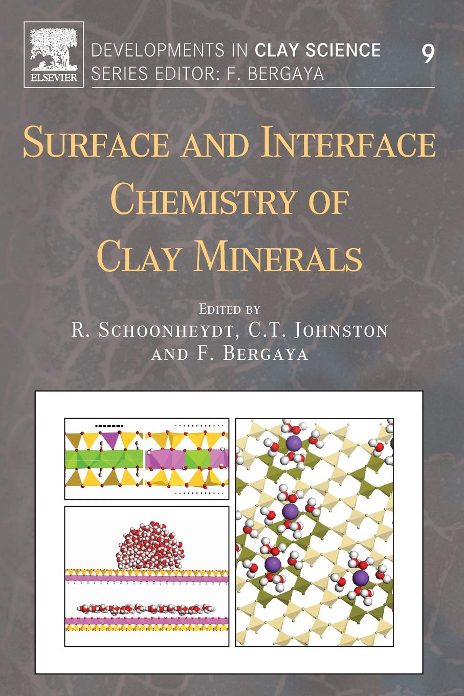 Surface and Interface Chemistry of Clay Minerals (Volume 9) (Developments in Clay Science, Volume 9)