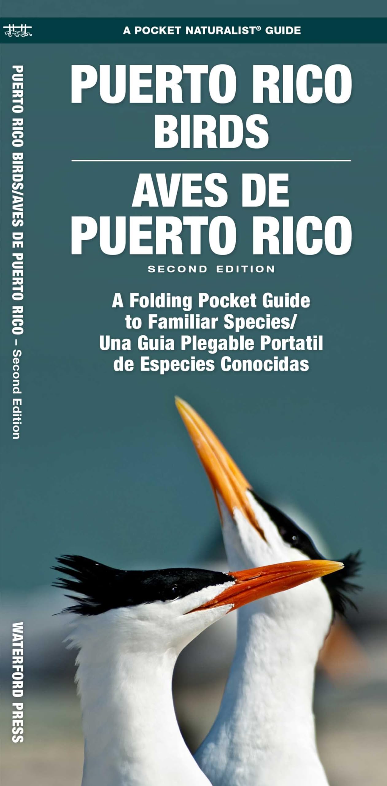 Puerto Rico Birds/Aves de Puerto Rico, 2nd Ed: A Folding Pocket Guide to Familiar Species/Una Guia Plegable Portatil de Especies Conocidas (Nature Observation North America)
