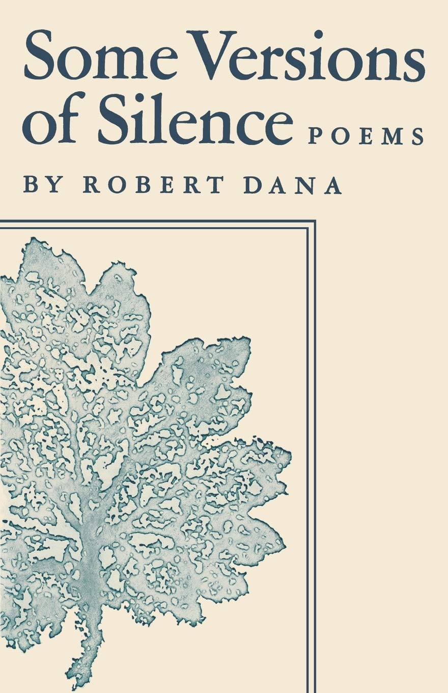 Dana Some Versions of Silence (Paper)