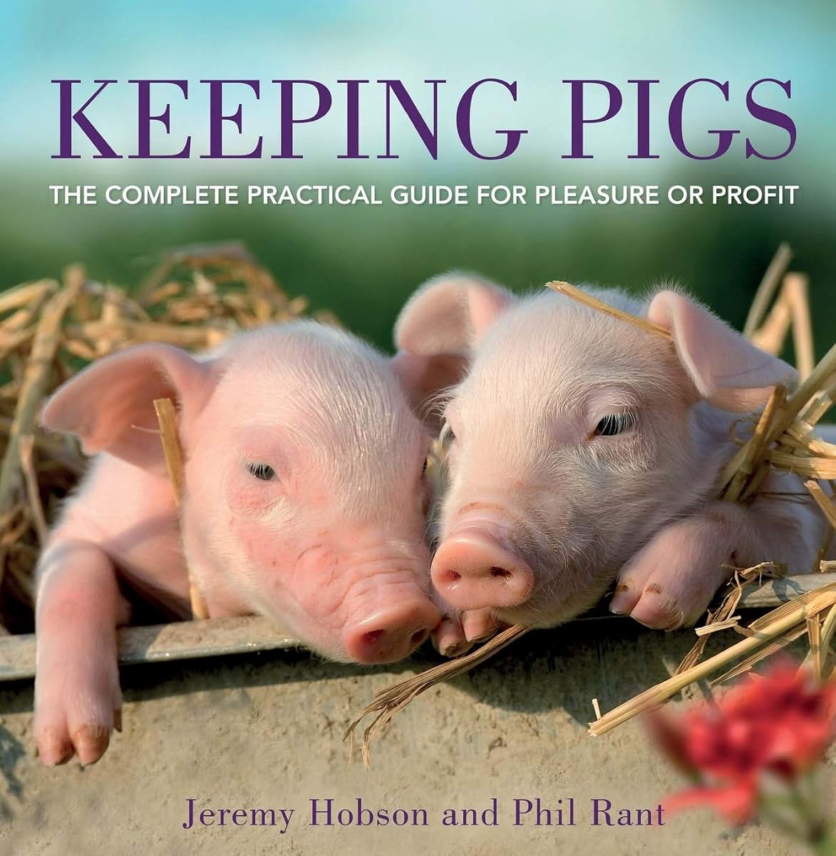 Keeping Pigs: The Complete Practical Guide for Pleasure or Profit