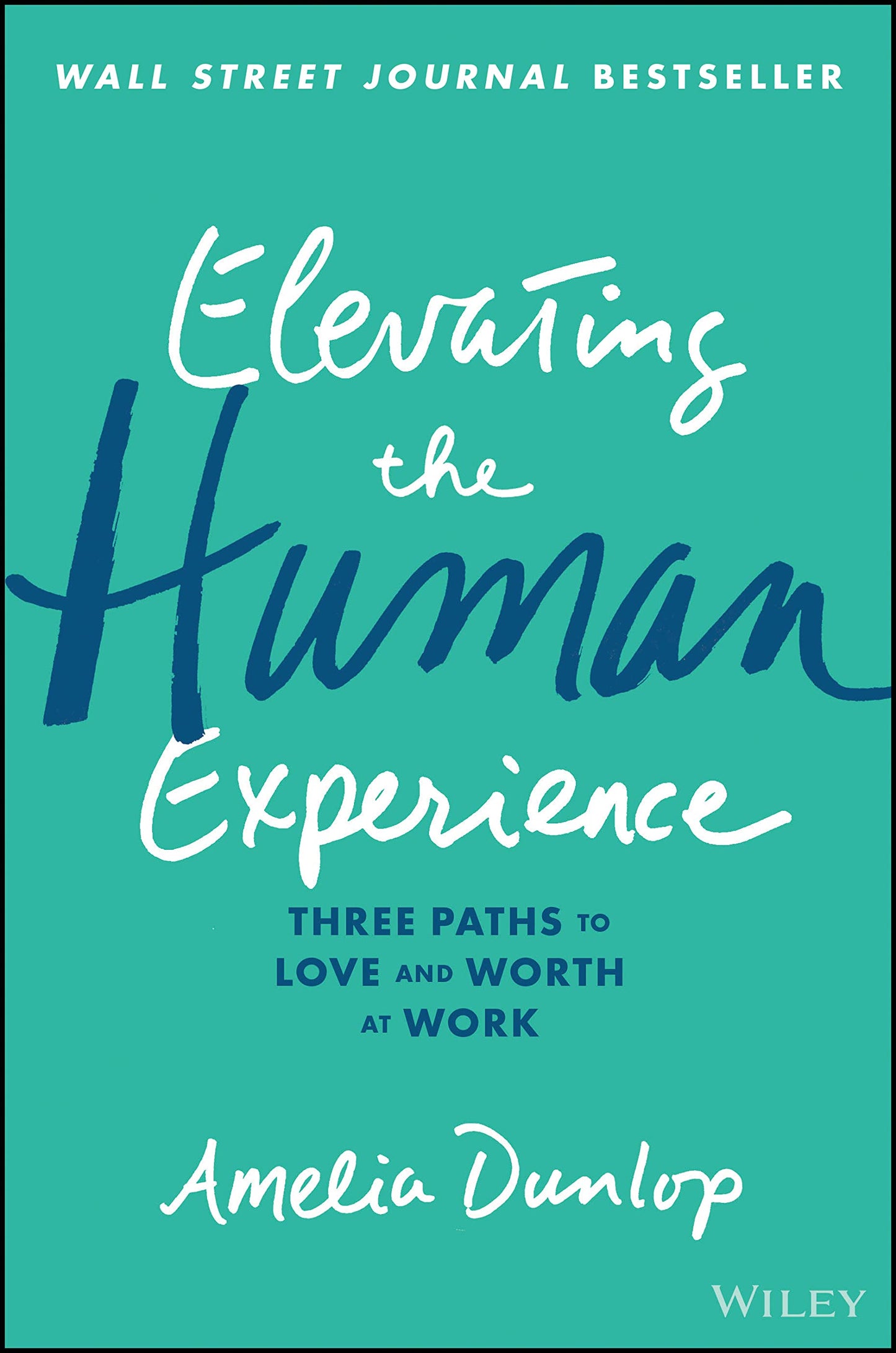 Elevating the Human Experience: Three Paths to Love and Worth at Work