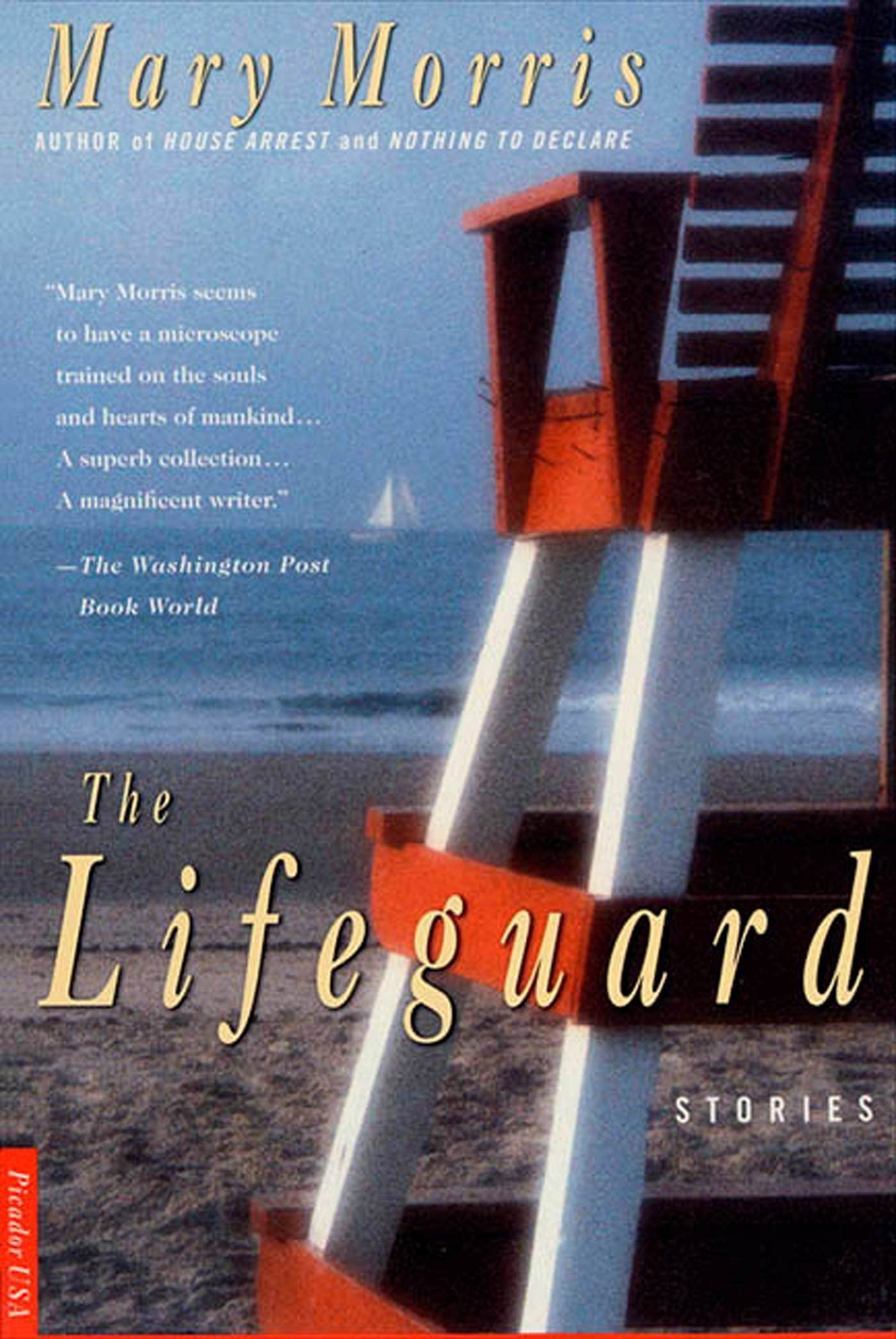 The Lifeguard: Stories