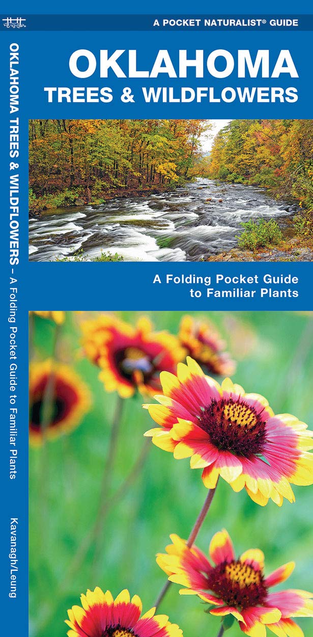 Oklahoma Trees and Wildflowers : An Introduction to Familiar Species (Pocket Naturalist - Waterford Press) (Wildlife and Nature Identification)