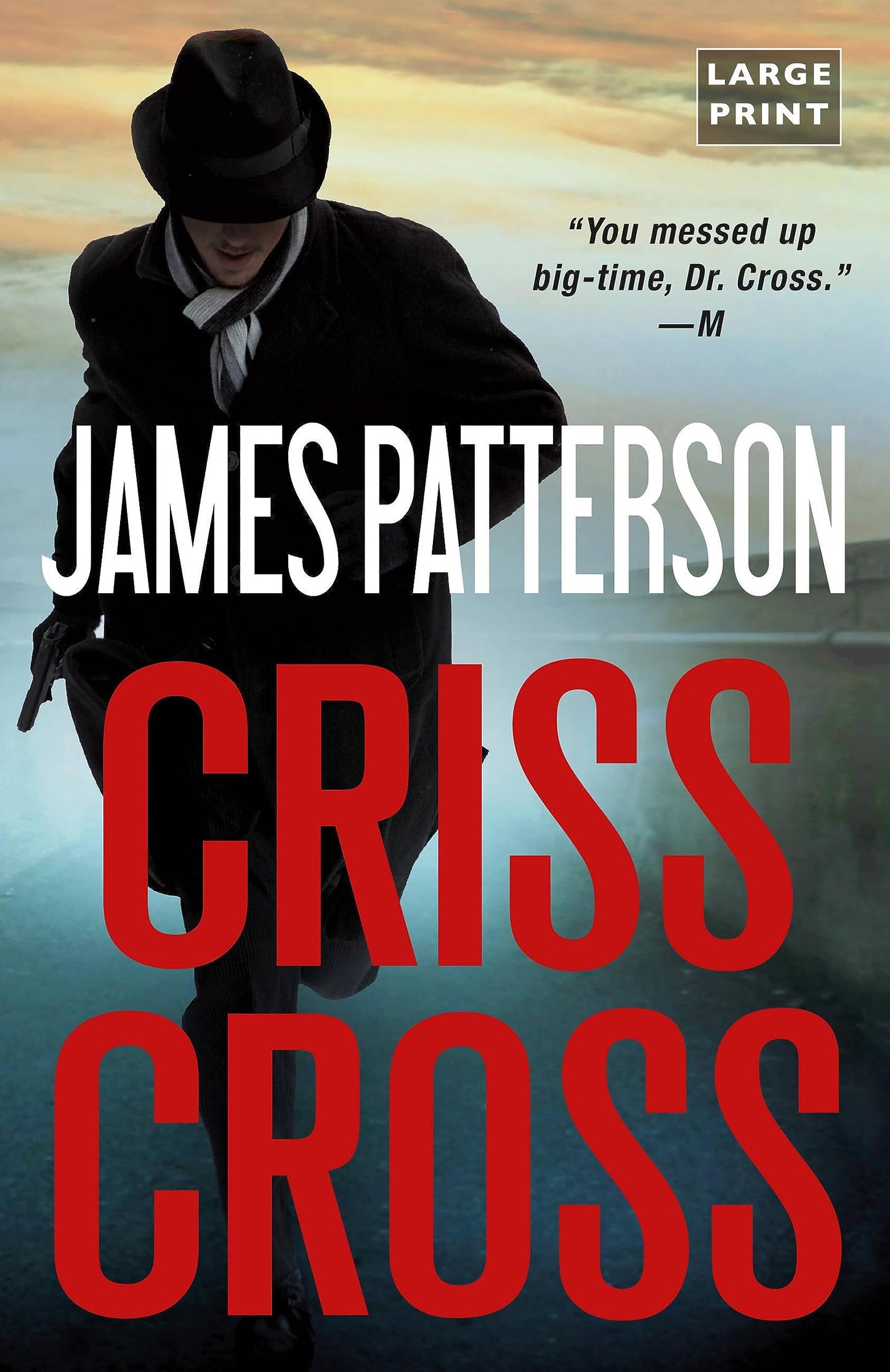 Criss Cross (Alex Cross, 25)