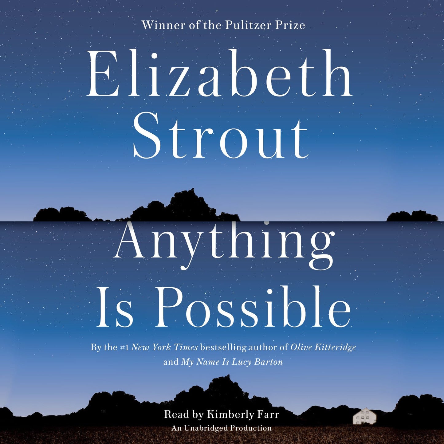 Anything Is Possible: A Novel