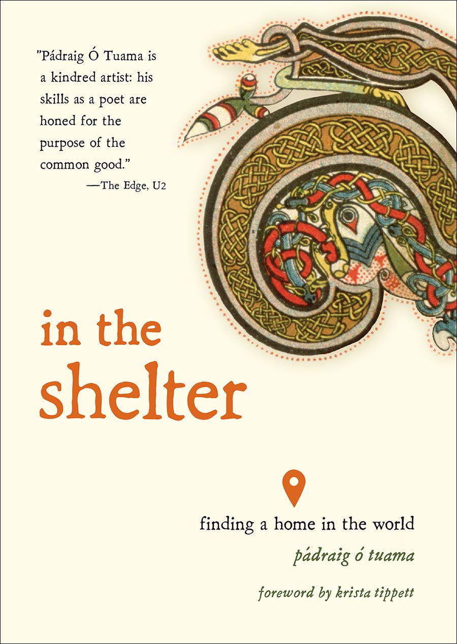 In the Shelter: Finding a Home in the World by P�draig � Tua