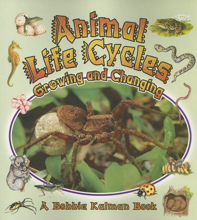 Animal Life Cycles: Growing and Changing (Nature's Changes)