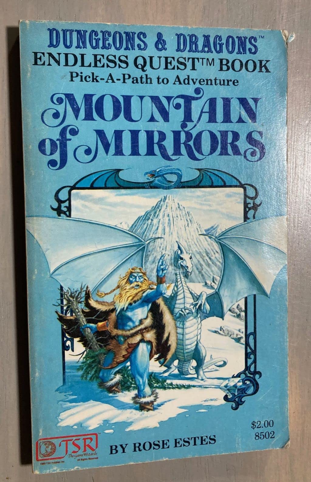 Mountain of mirrors (Endless quest book) by Rose Estes