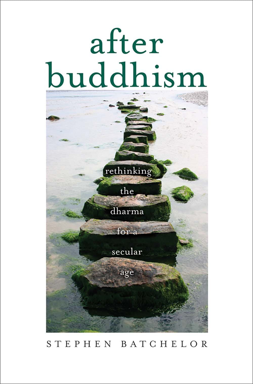 After Buddhism: Rethinking the Dharma for a Secular Age by B