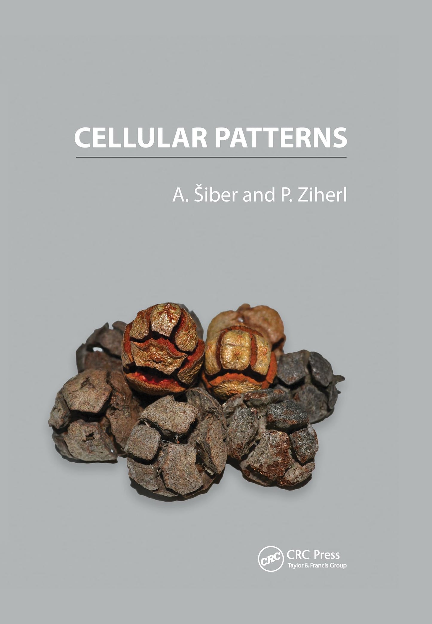 Cellular Patterns