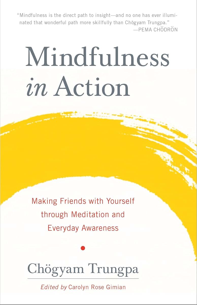 Mindfulness in Action: Making Friends with Yourself through Meditation and Everyday Awareness