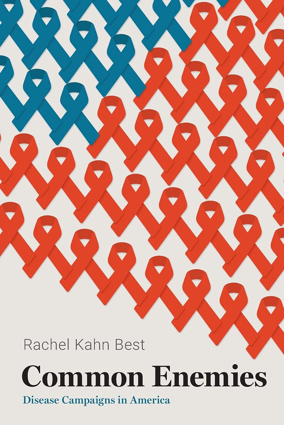 Common Enemies: Disease Campaigns in America