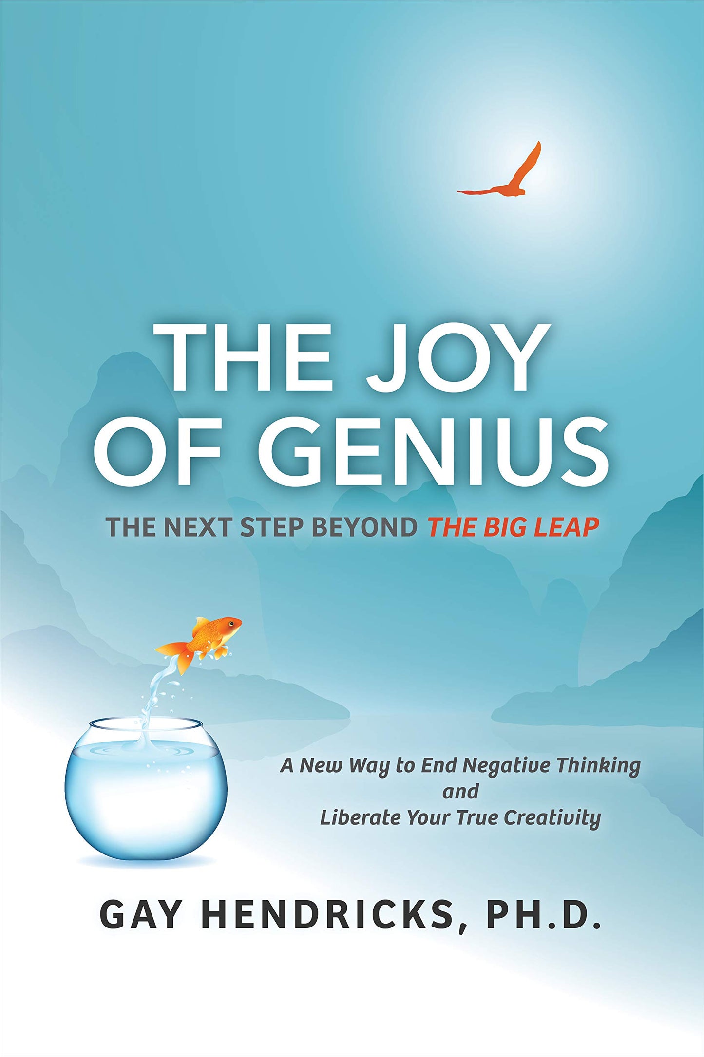 The Joy of Genius: The Next Step Beyond The Big Leap