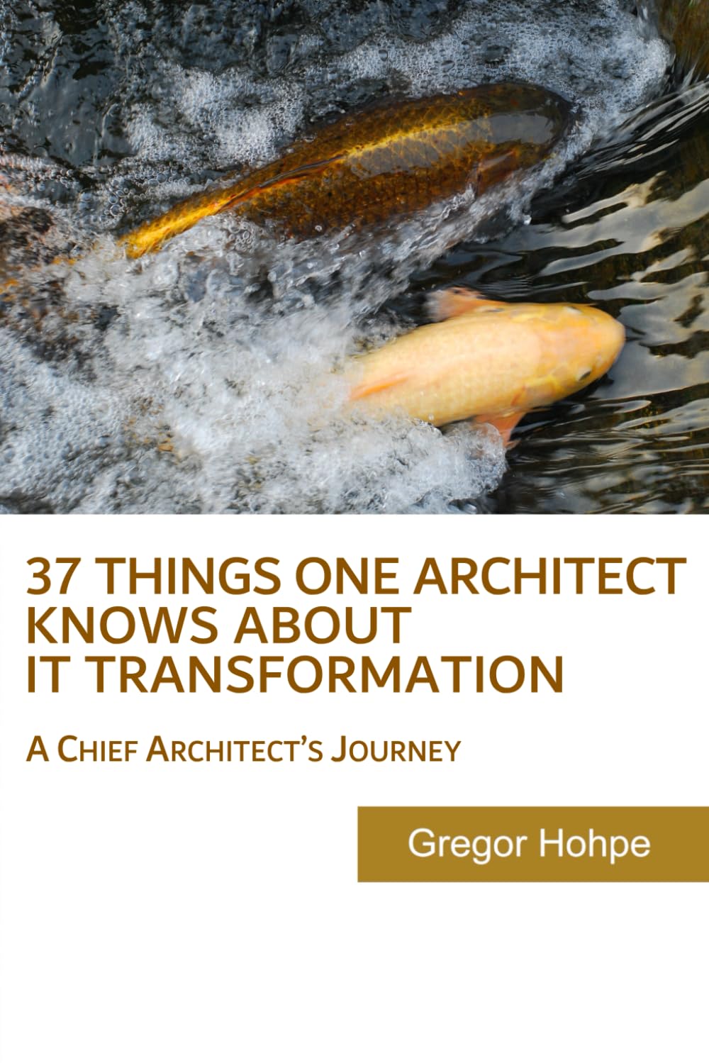 37 Things One Architect Knows About IT Transformation: A Chief Architects Journey
