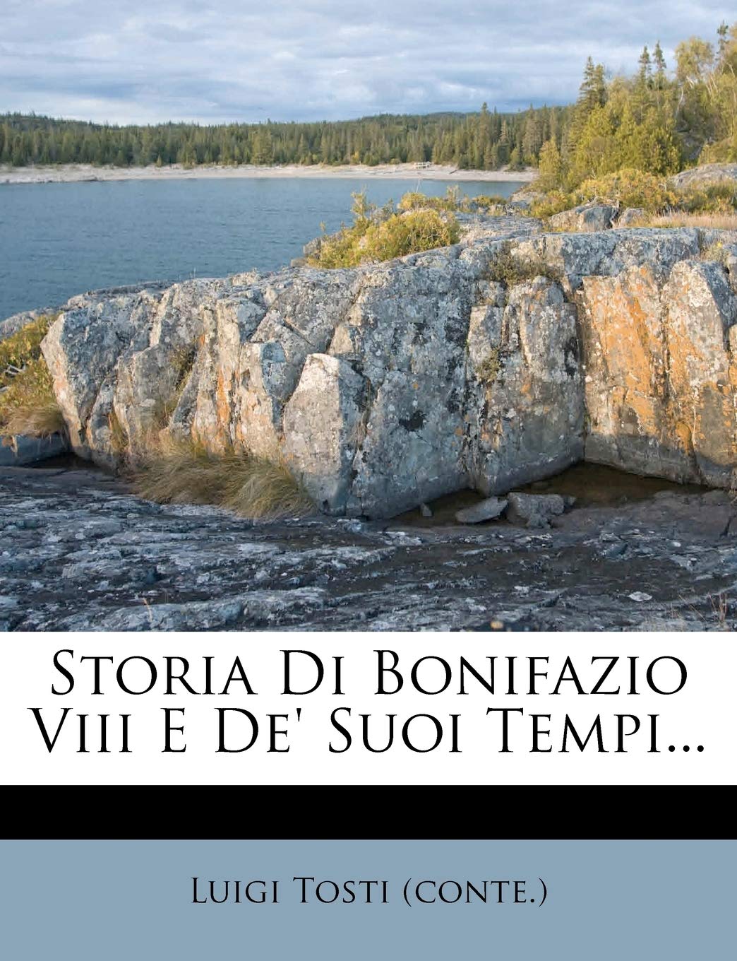 Storia Di Bonifazio Viii E De' Suoi Tempi... (Italian Edition)