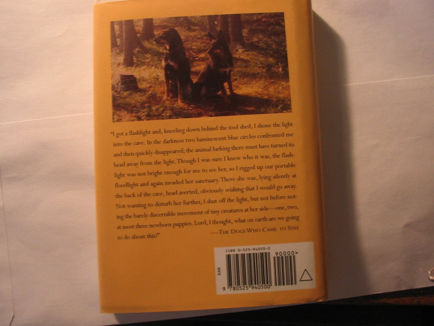 The Dogs Who Came to Stay
