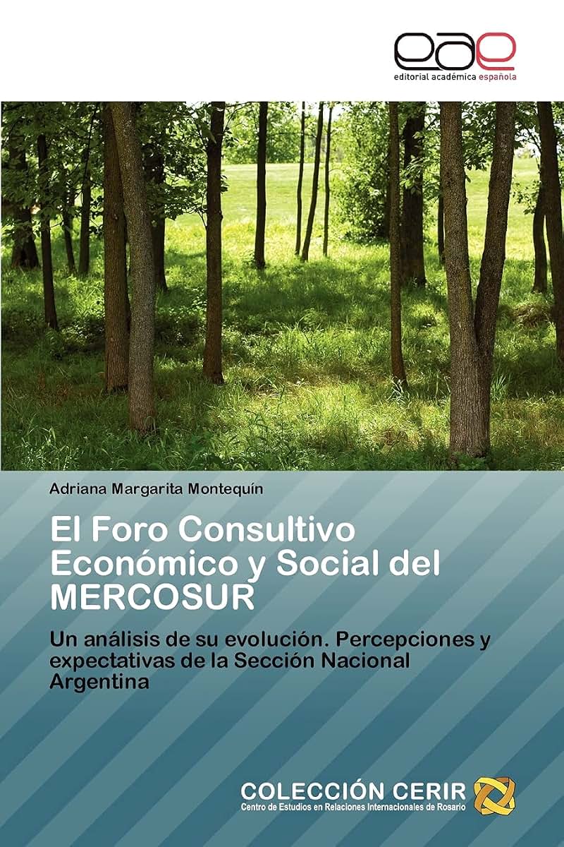 El Foro Consultivo Económico y Social del MERCOSUR: Un análisis de su evolución. Percepciones y expectativas de la Sección Nacional Argentina (Spanish Edition)
