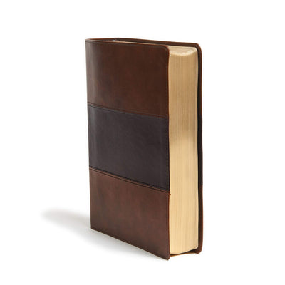 KJV Study Bible, Full-Color, Saddle Brown LeatherTouch, Red