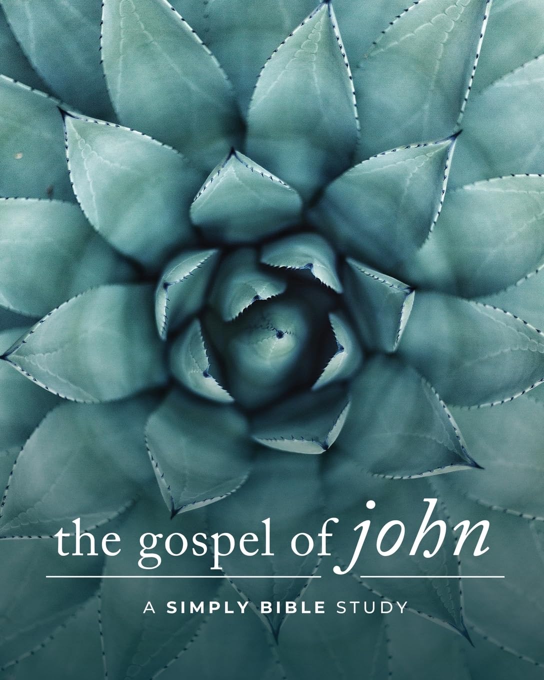 The Gospel of John: A Simply Bible Study