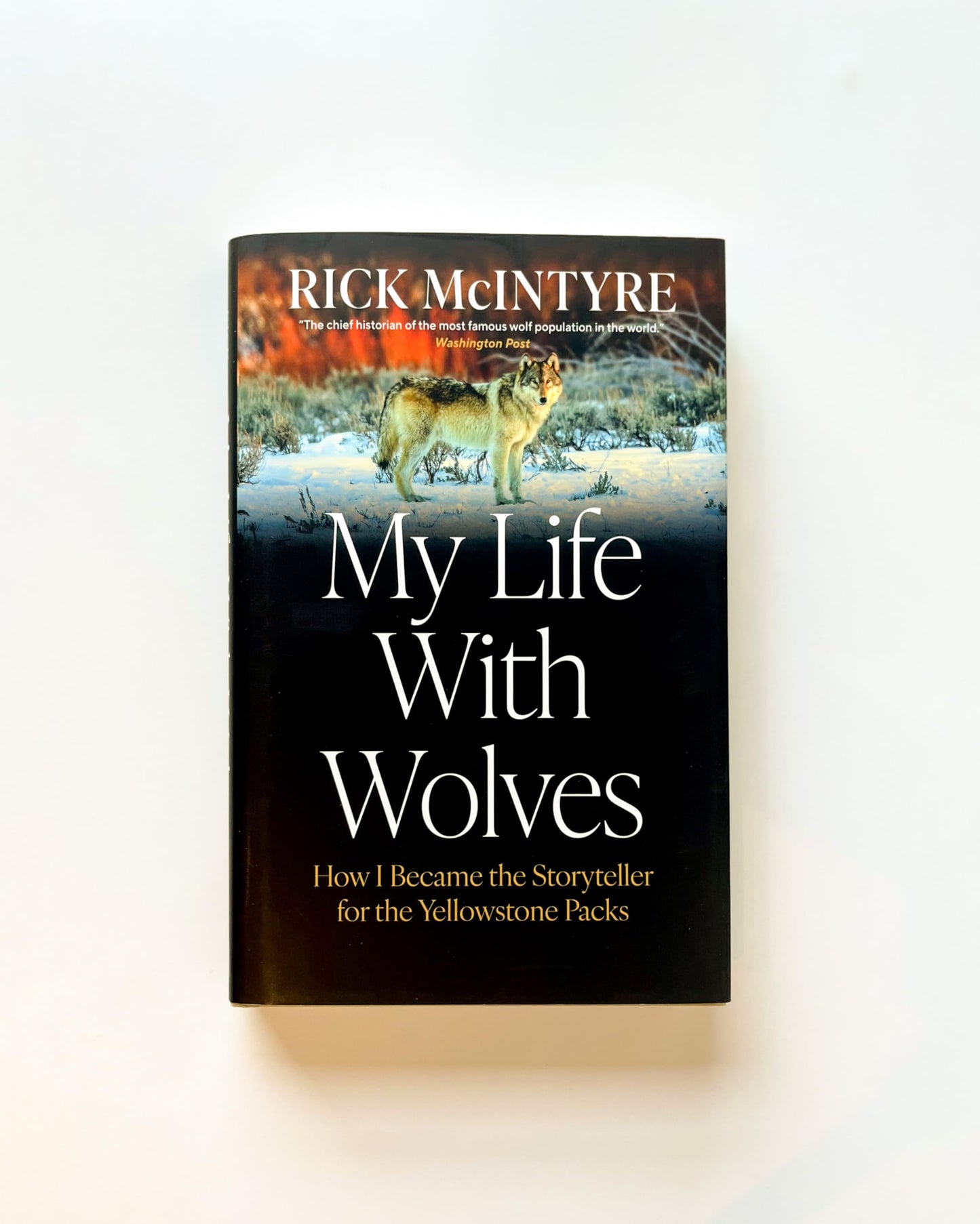 My Life With Wolves: How I Became the Storyteller for the Yellowstone Packs