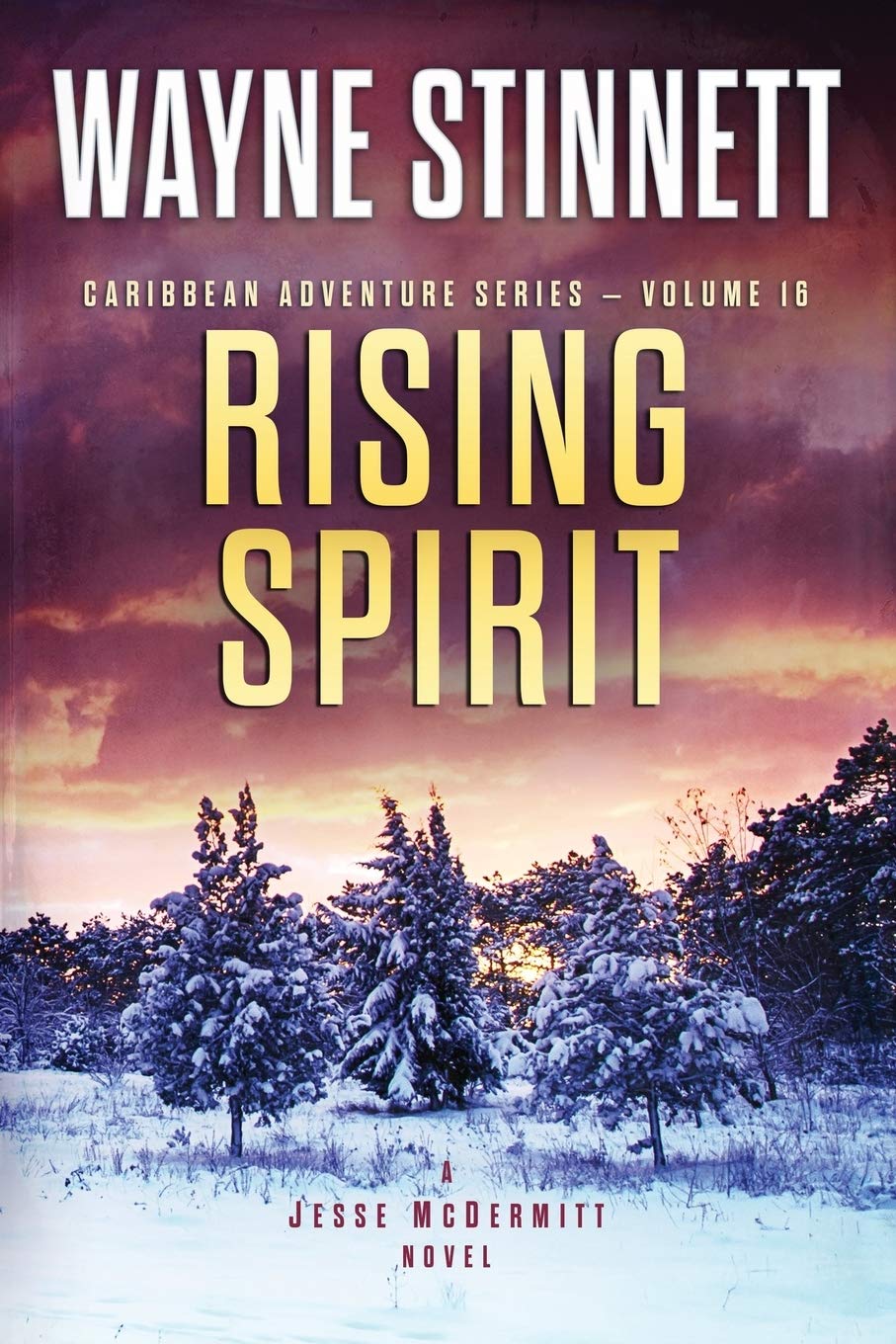 Rising Spirit: A Jesse McDermitt Novel (Caribbean Adventure Series)