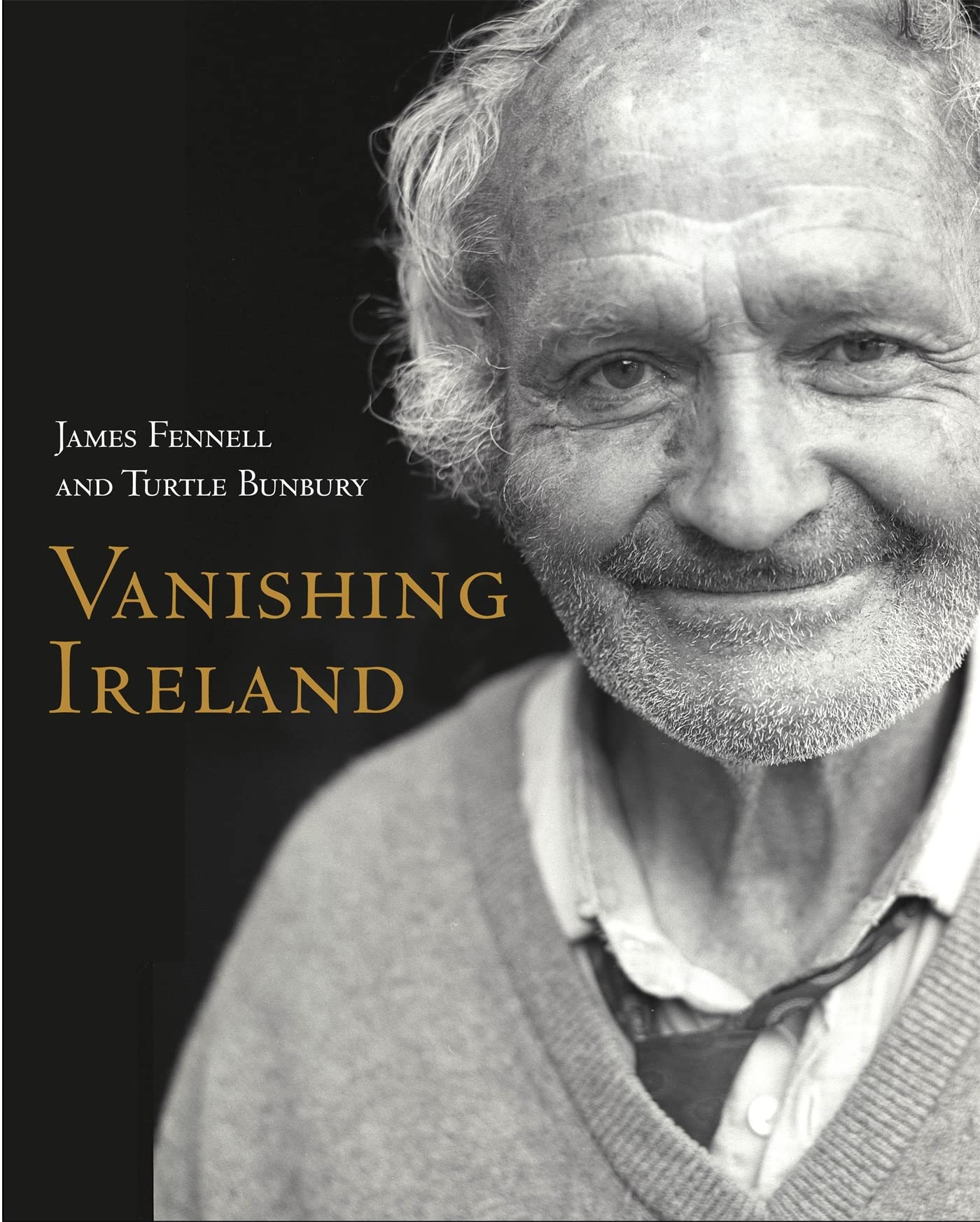 Vanishing Ireland by Bunbury, Turtle