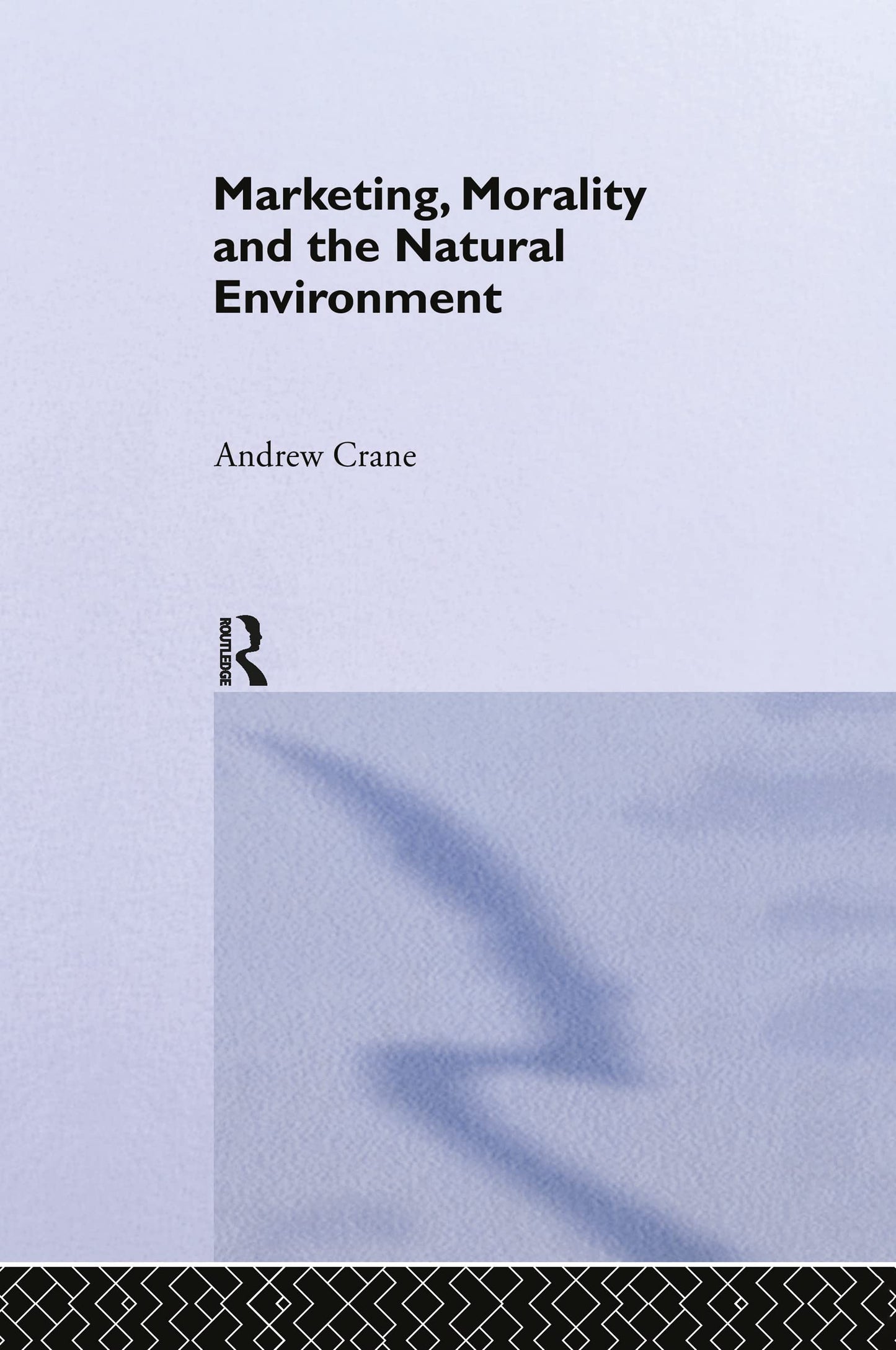 Marketing, Morality and the Natural Environment (Routledge Advances in Management and Business Studies)