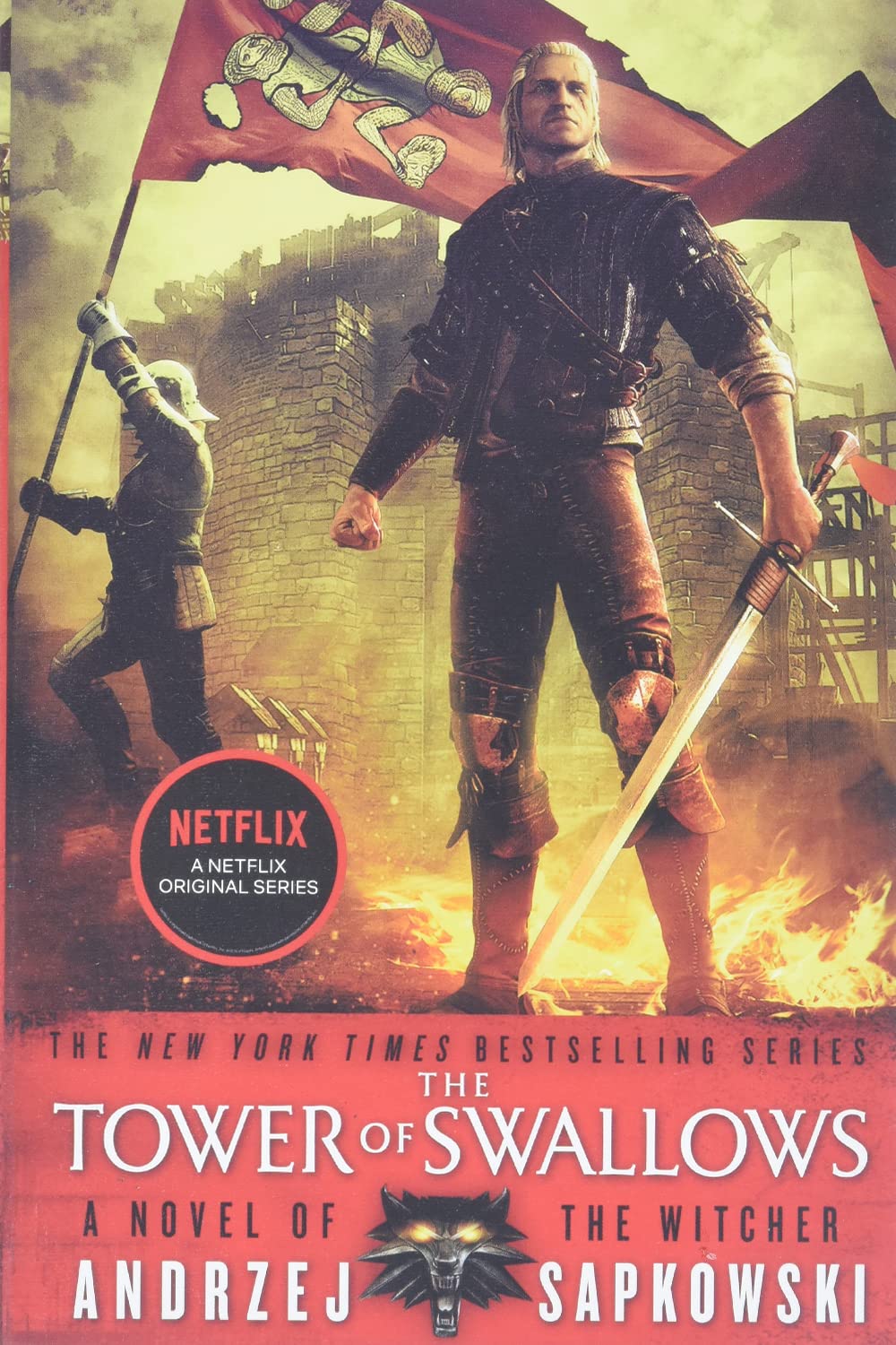 The Tower of Swallows (The Witcher, 6)