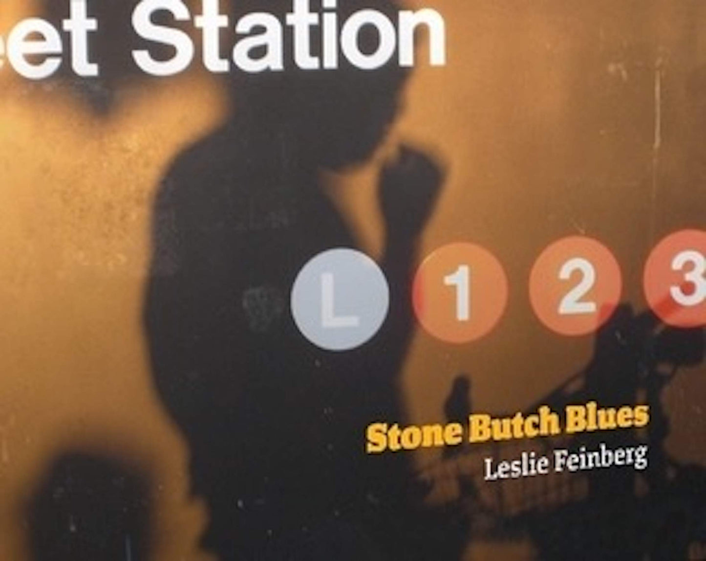 Stone Butch Blues by Feinberg, Leslie