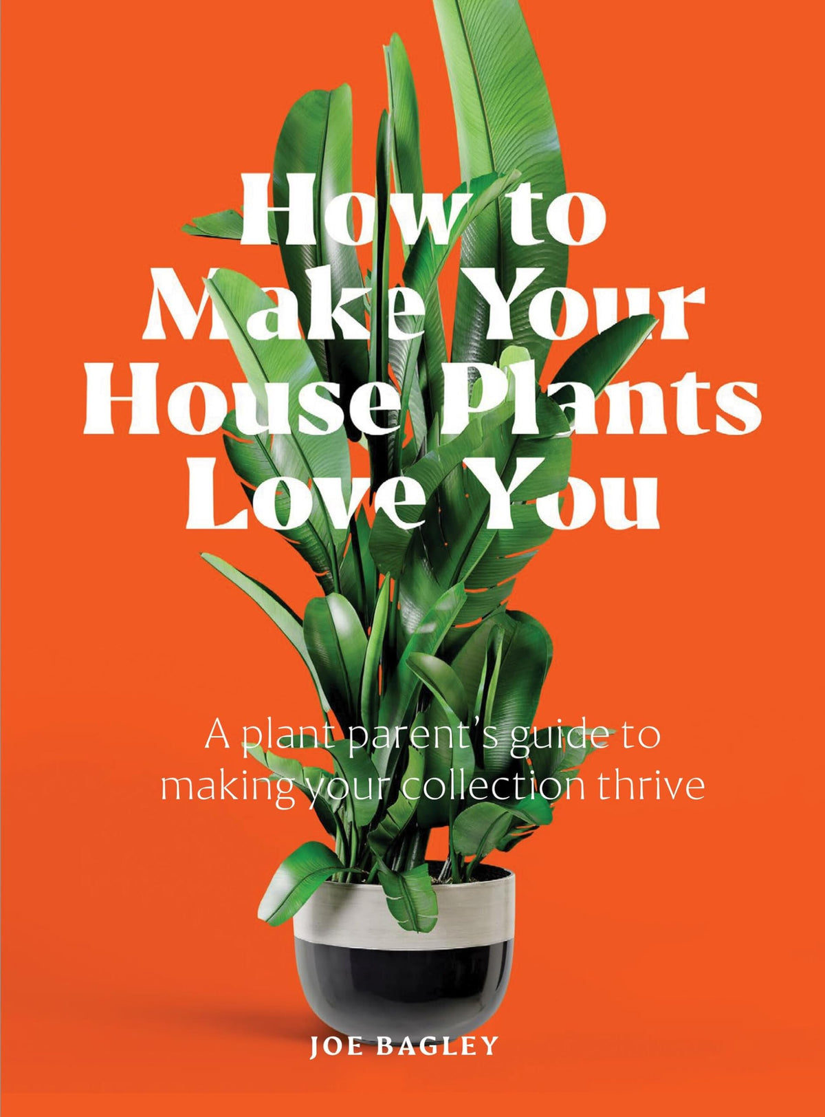 How to Make Your Houseplants Love You: Expert Answers for Plant Parents