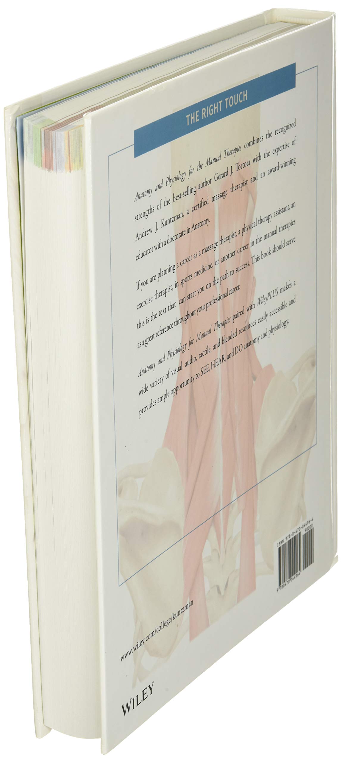 Anatomy and Physiology for the Manual Therapies