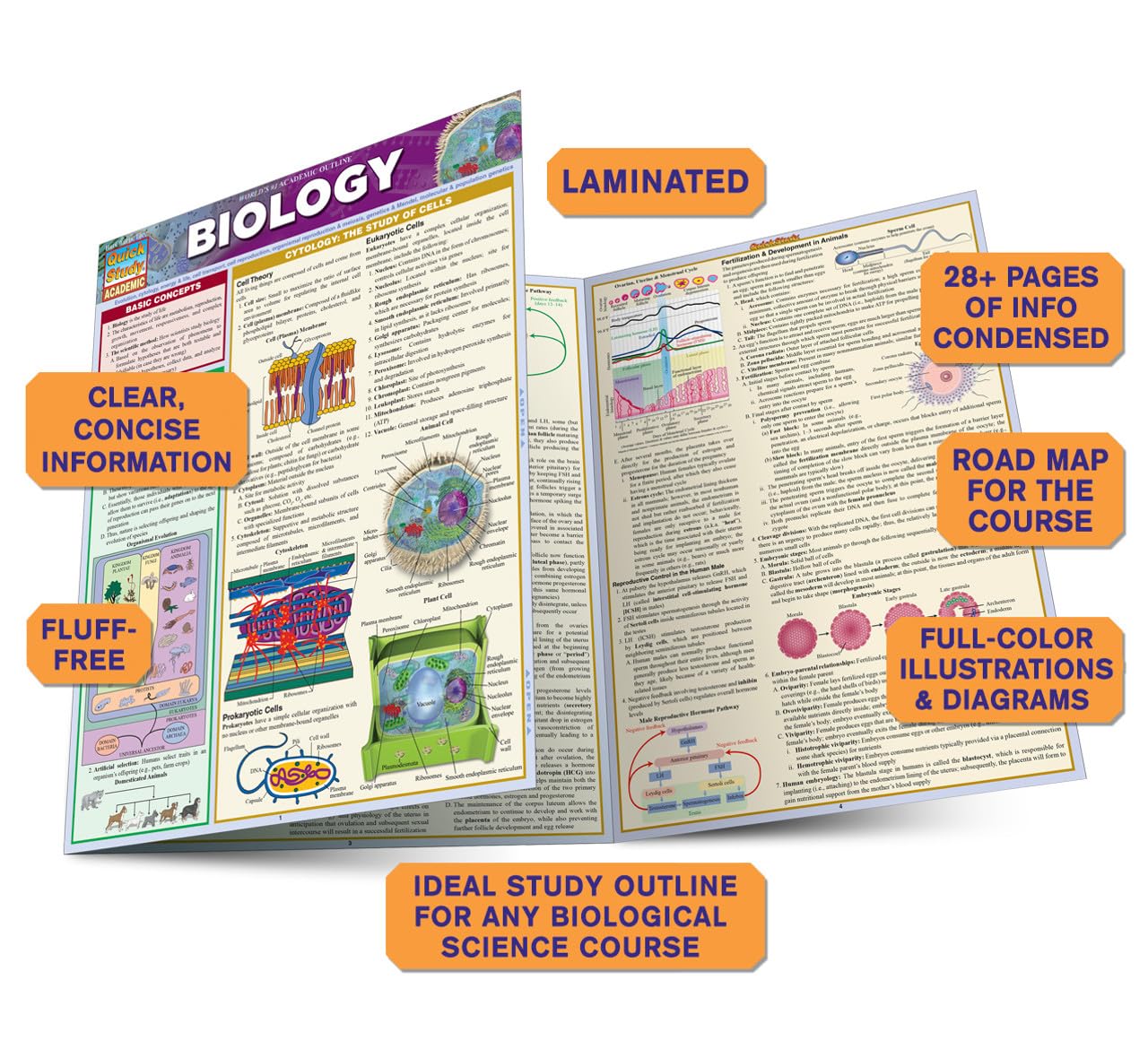 Biology: a QuickStudy Laminated Reference Guide (Quick Study Academic)