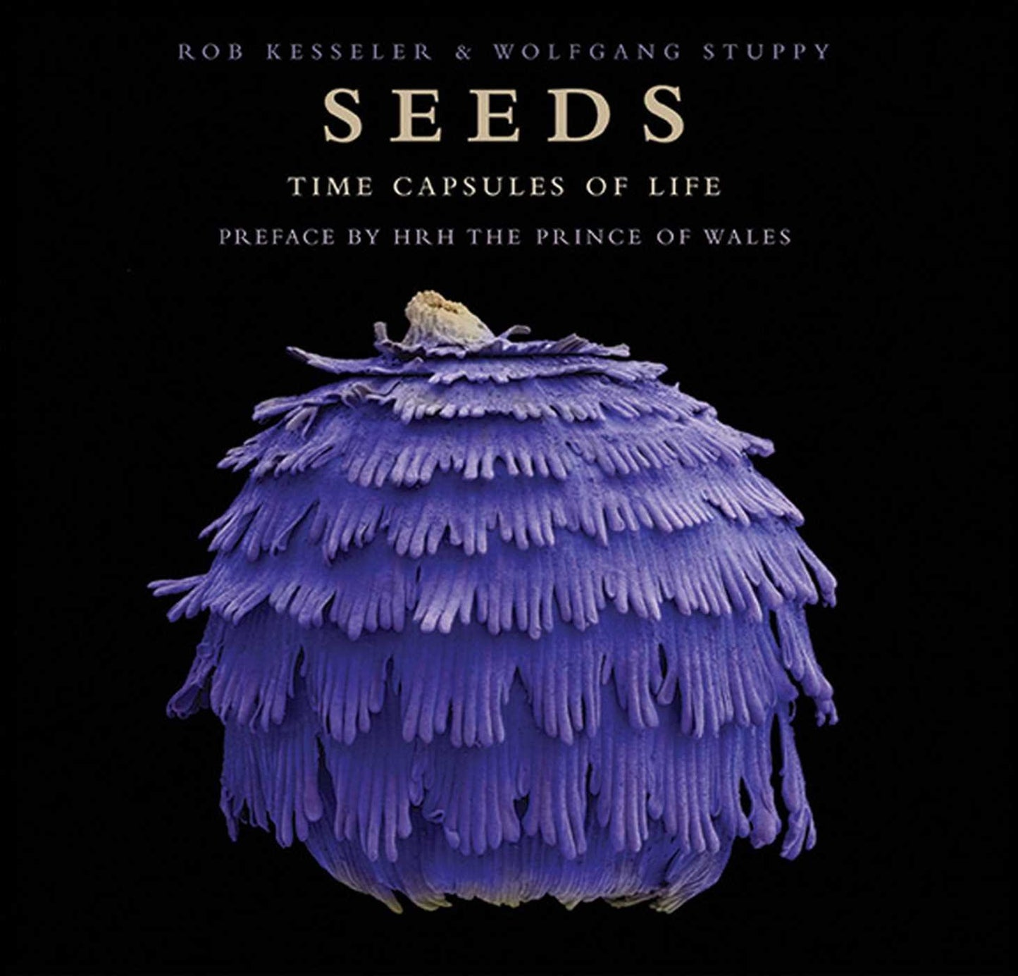 Seeds: Time Capsules of Life by Stuppy, Wolfgang