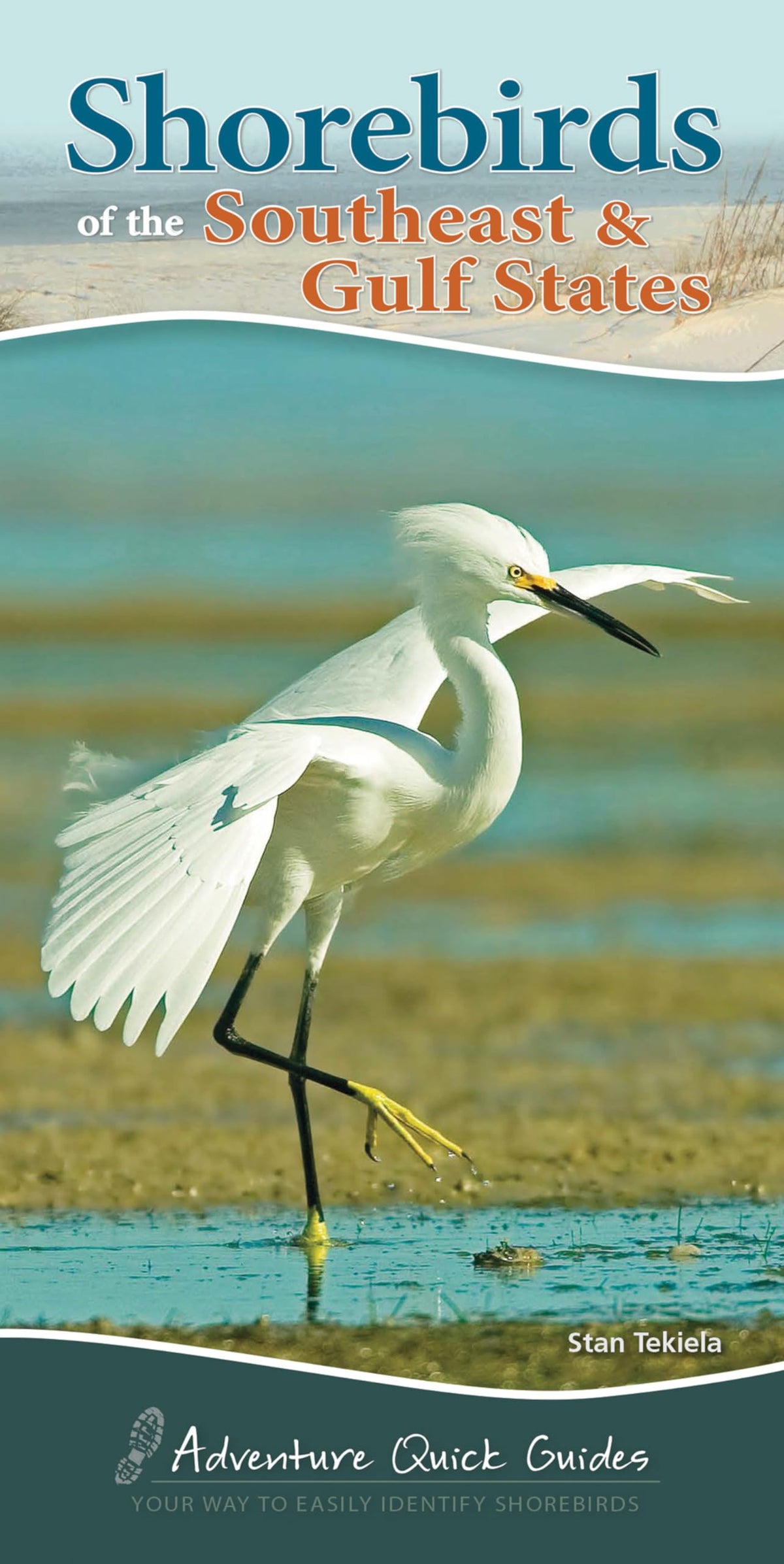 Shorebirds of the Southeast & Gulf States: Your Way to Easily Identify Shorebirds (Adventure Quick Guides)