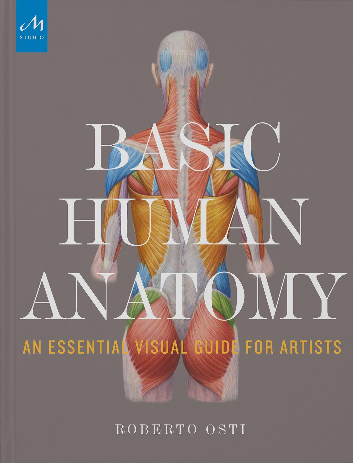 Basic Human Anatomy: An Essential Visual Guide for Artists