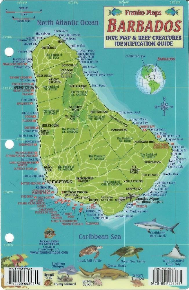 Barbados Dive Map & Reef Creatures Waterproof Fish Card