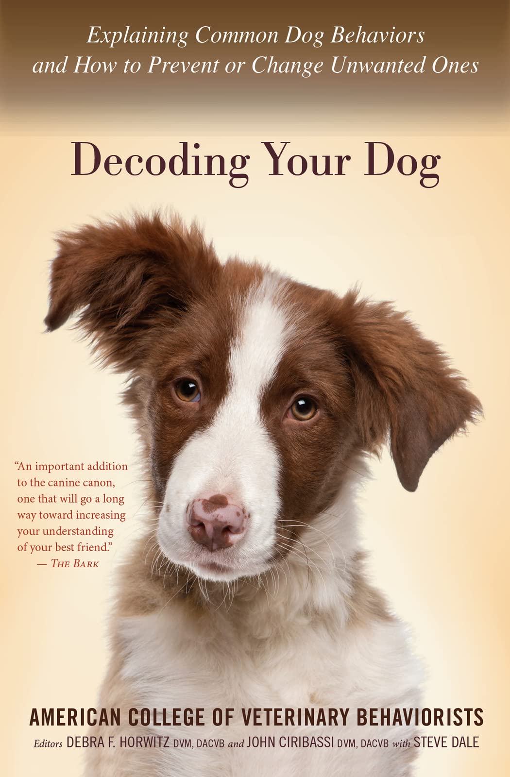 Decoding Your Dog: Explaining Common Dog Behaviors and How t
