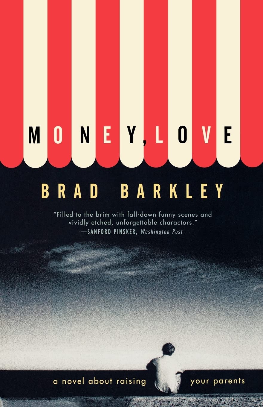Money, Love: A Novel (Norton Paperback Fiction)