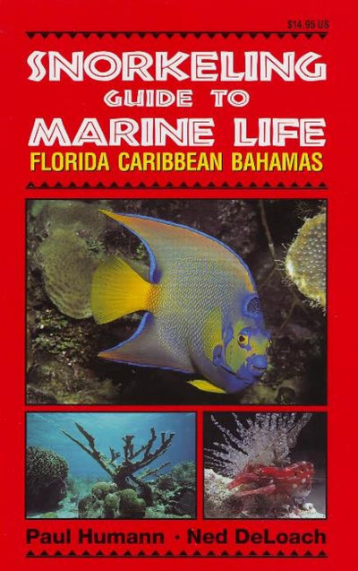 Snorkeling Guide to Marine Life Florida, Caribbean, Bahamas