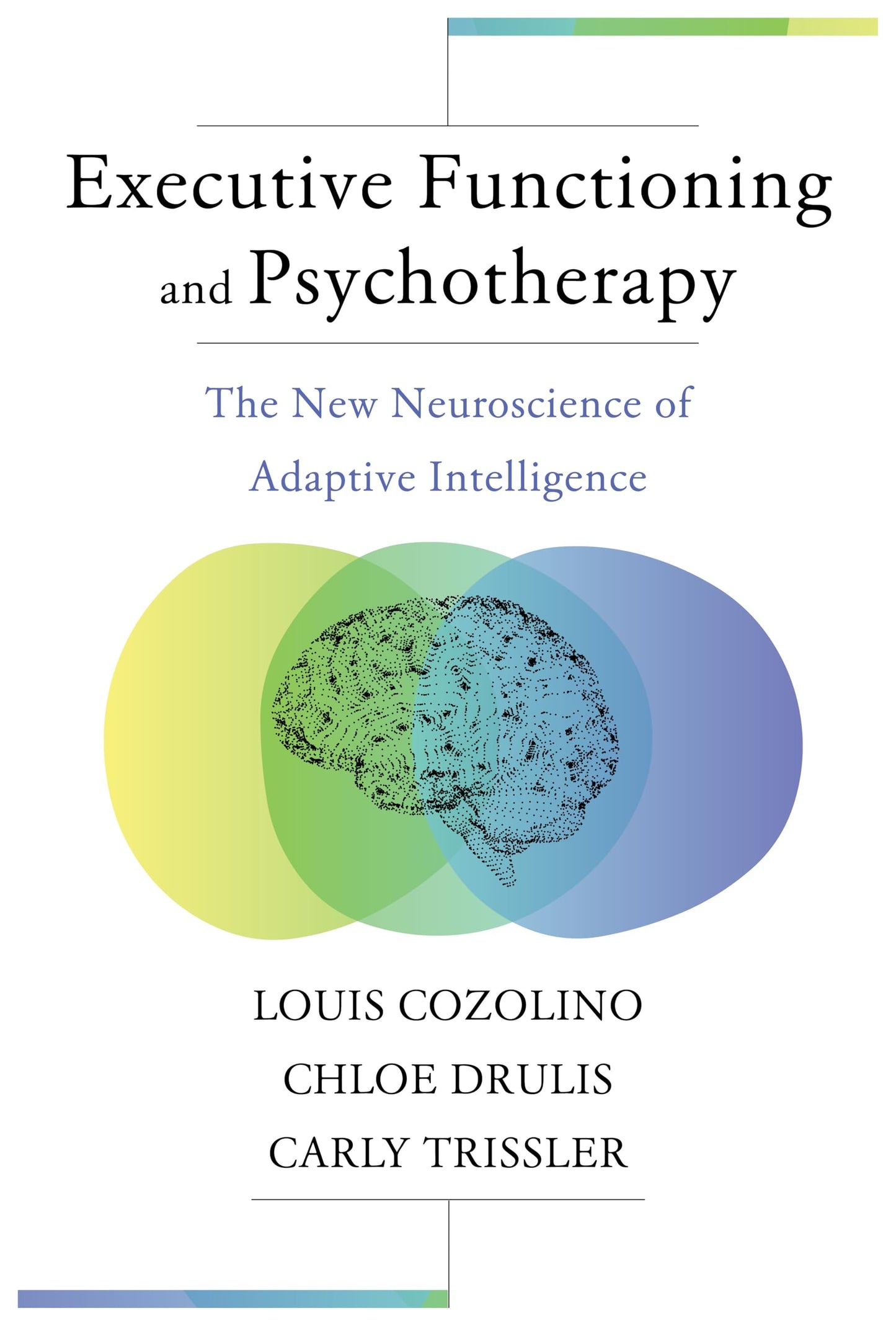 Executive Functioning and Psychotherapy: The New Neuroscience of Adaptive Intelligence (Norton Series on Interpersonal Neurobiology)