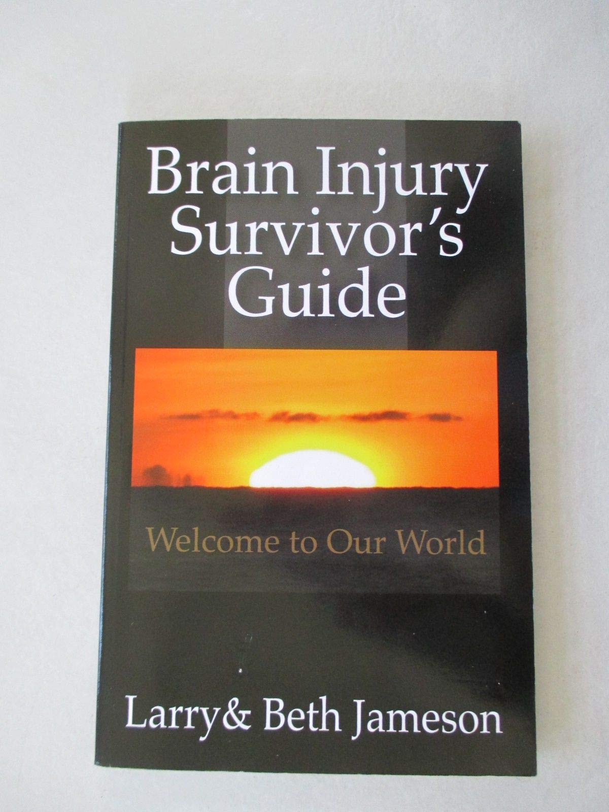 Brain Injury Survivor's Guide: Welcome to Our World