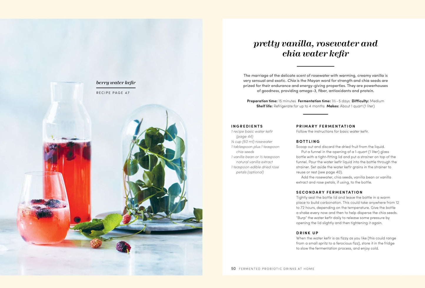 Fermented Probiotic Drinks at Home: Make Your Own Kombucha,