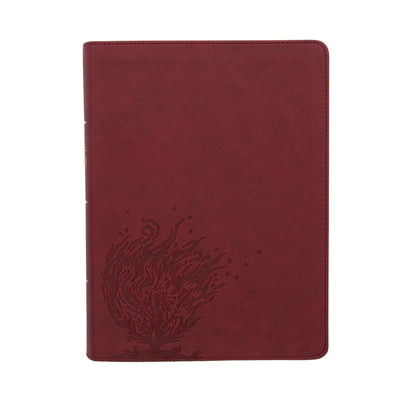CSB Experiencing God Bible, Burgundy LeatherTouch, Full-Color Design, Articles, Character Profiles, Chapter Prompts and Questions, Key Verse Icons, Full-Color Maps, Easy-to-Read Bible Serif Type