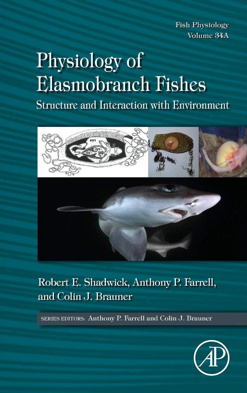 Physiology of Elasmobranch Fishes: Structure and Interaction with Environment (Volume 34A) (Fish Physiology, Volume 34A)