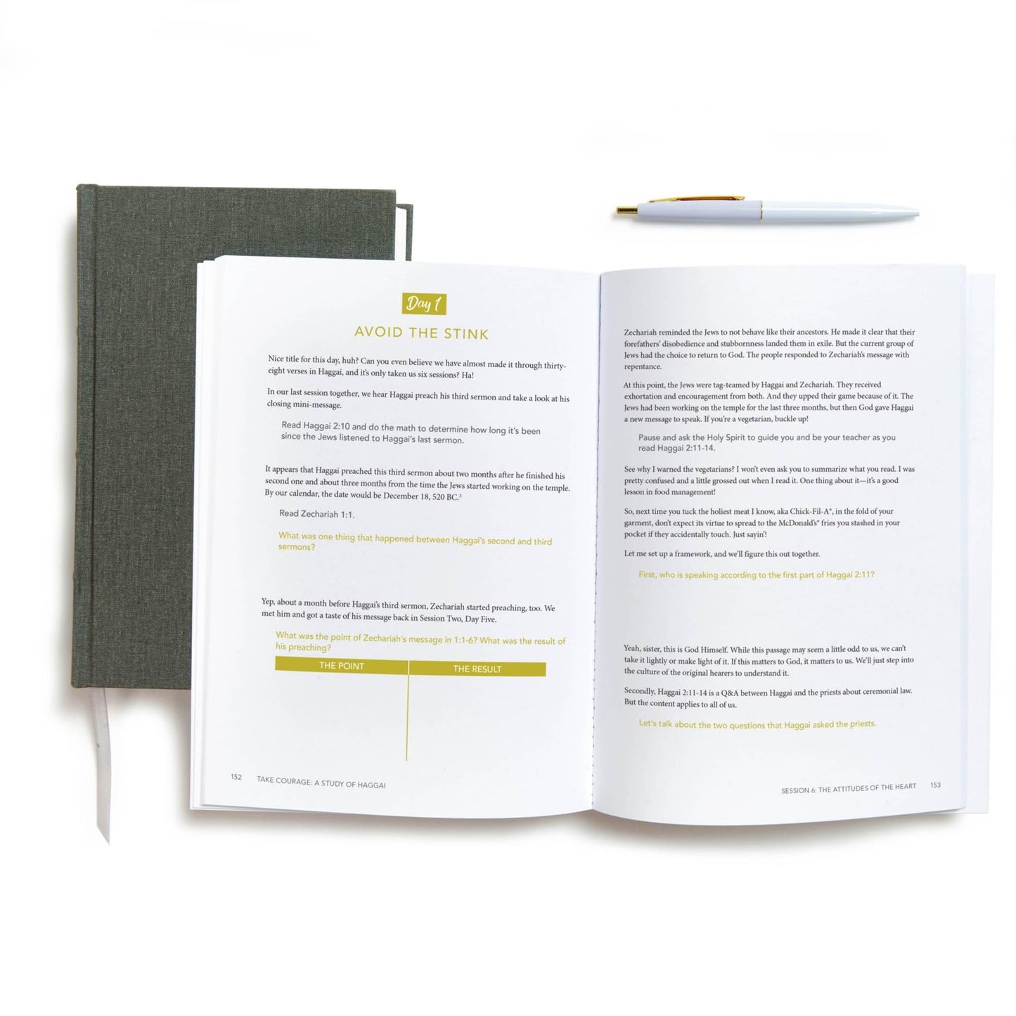 Take Courage - Bible Study Book: A Study of Haggai