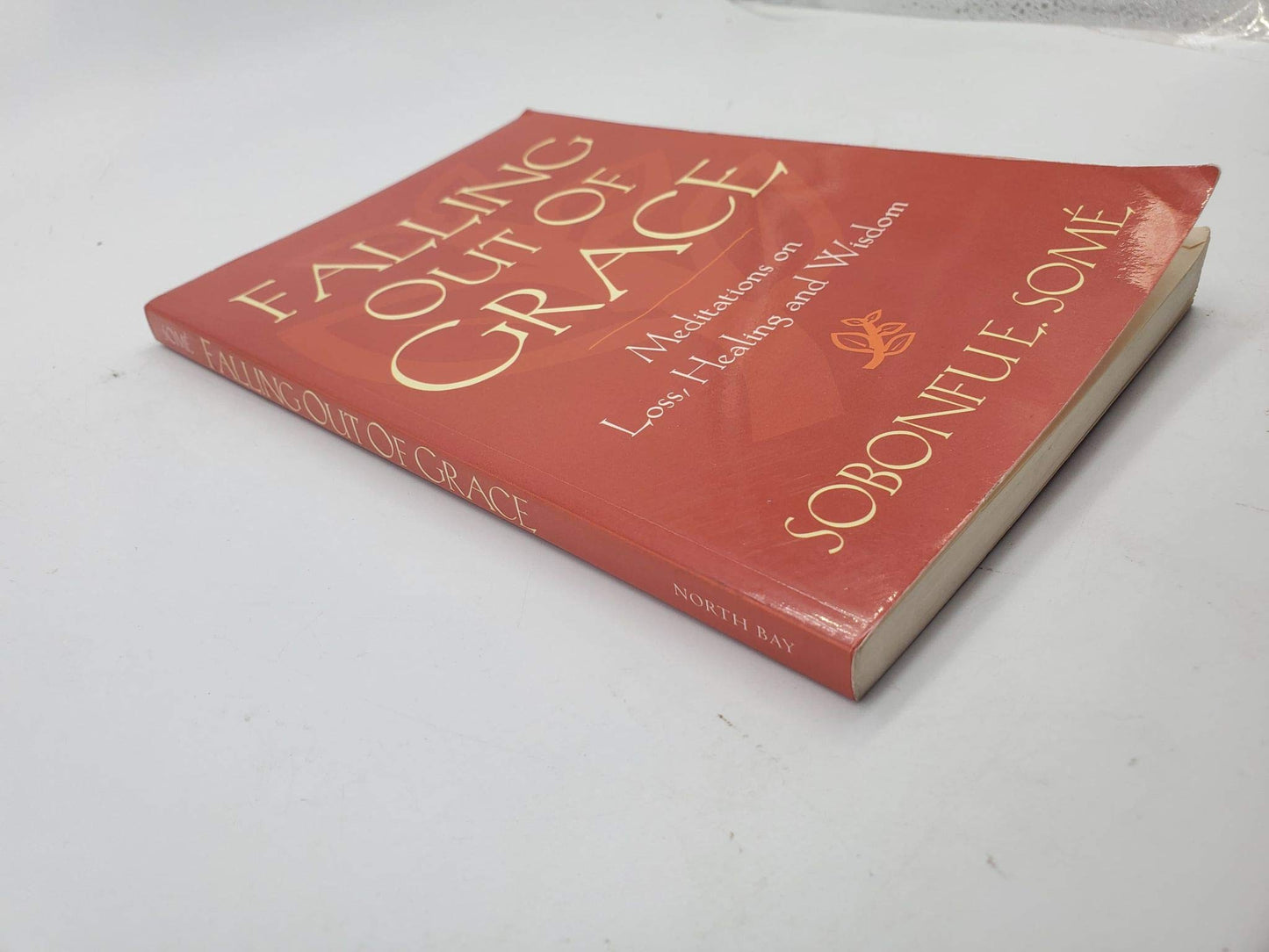 Falling Out of Grace: Meditations on Loss, Healing and Wisdom
