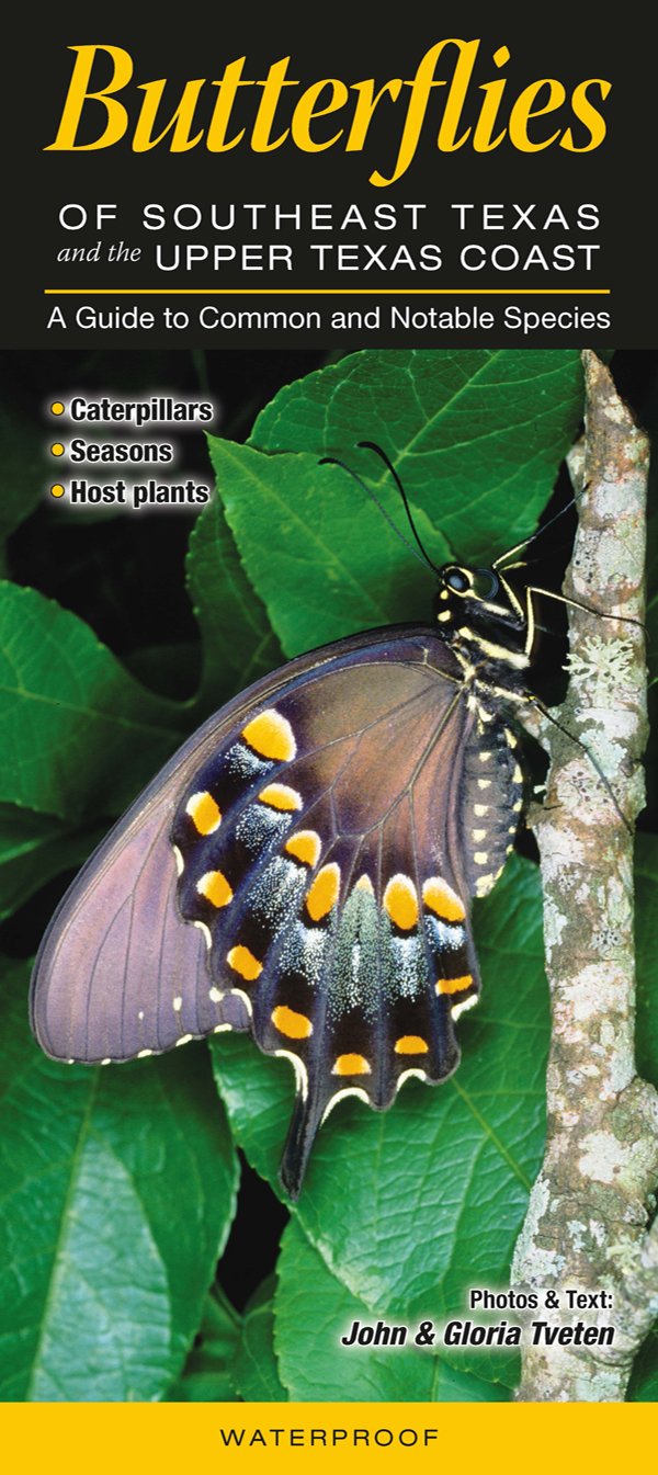 Butterflies of Southeast Texas & the Upper Texas Coast: A Guide to Common & Notable Species
